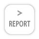 REPORT